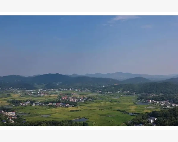 内在调理去斑，吃哪些食物最有效？