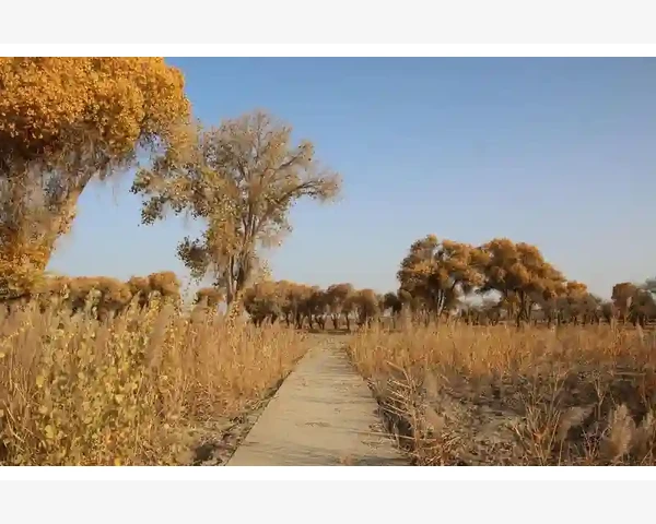 拔罐后多久可以洗头？拔罐后如何进行头部清洁？